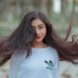 Avatar for Quip Quest