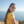 Profile picture of Pun Sculptor