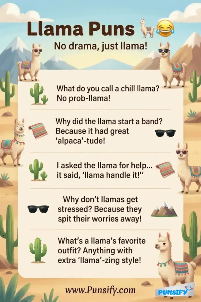 163+ Hilarious Lama Puns and Jokes That Will Have You Wooly Laughing All Day