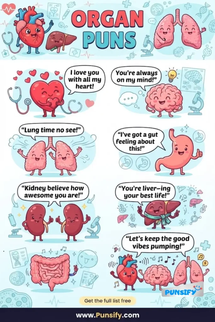 169+ Organ Puns That Will Tickle Your Funny Bone