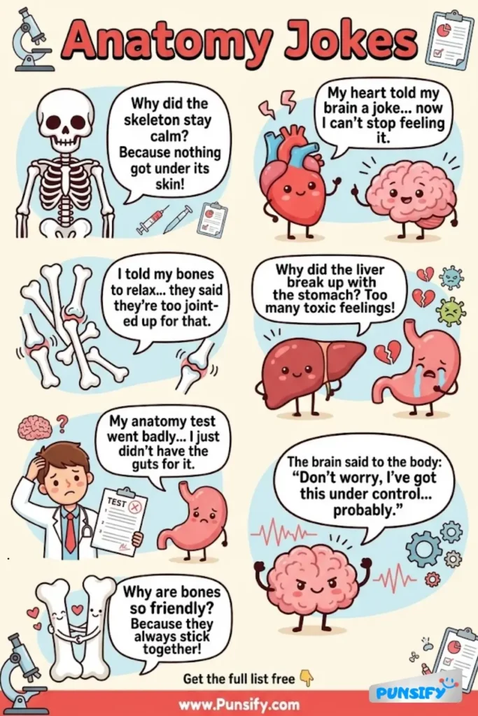 185+ Hilarious Anatomy Jokes & Puns That Will Make Your Heart Skip a Beat